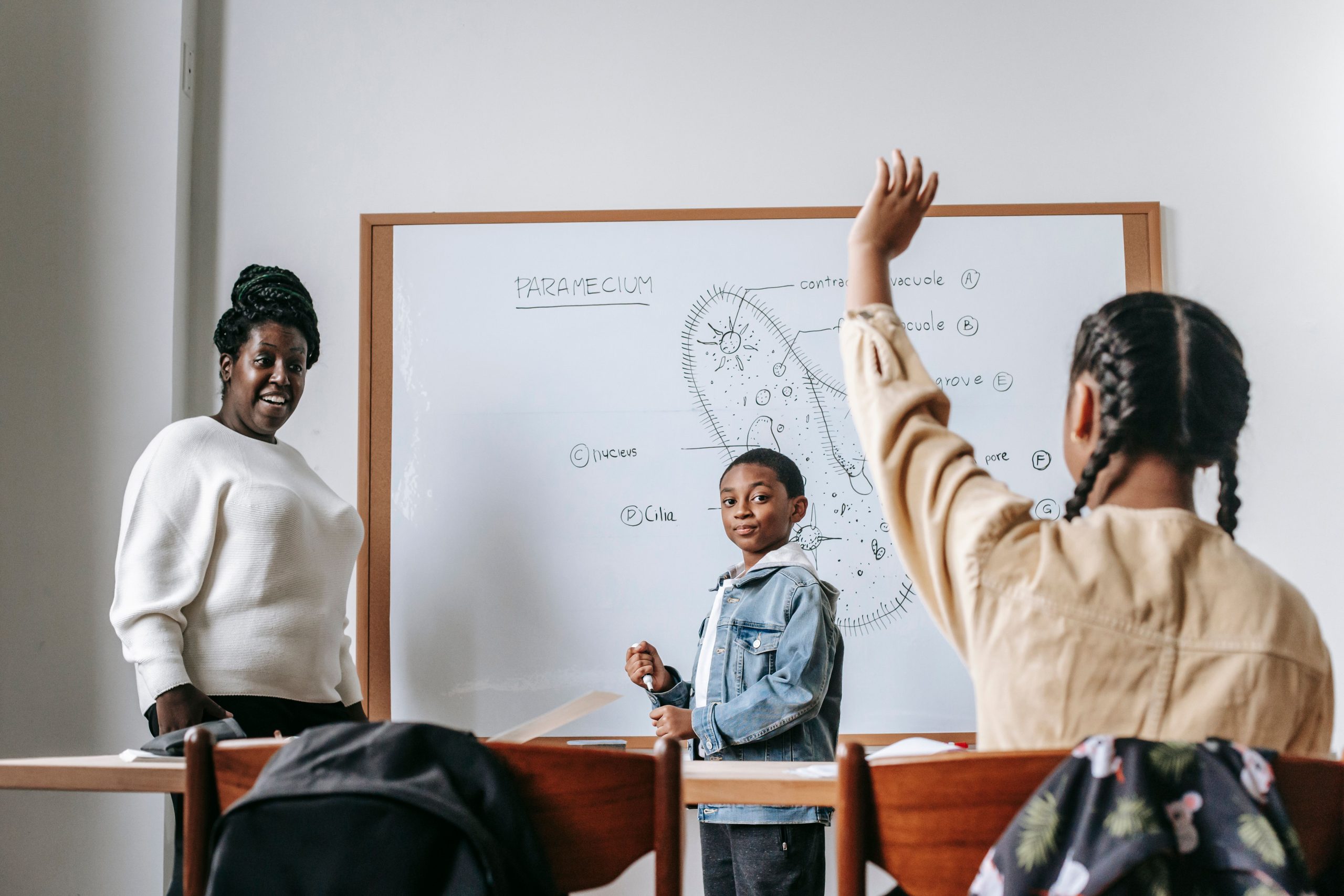 Young children in a learning environment